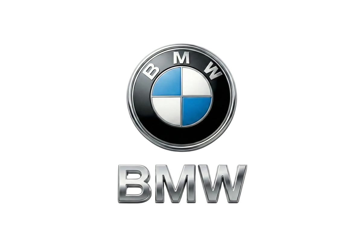 BMW High Performance Air Struts