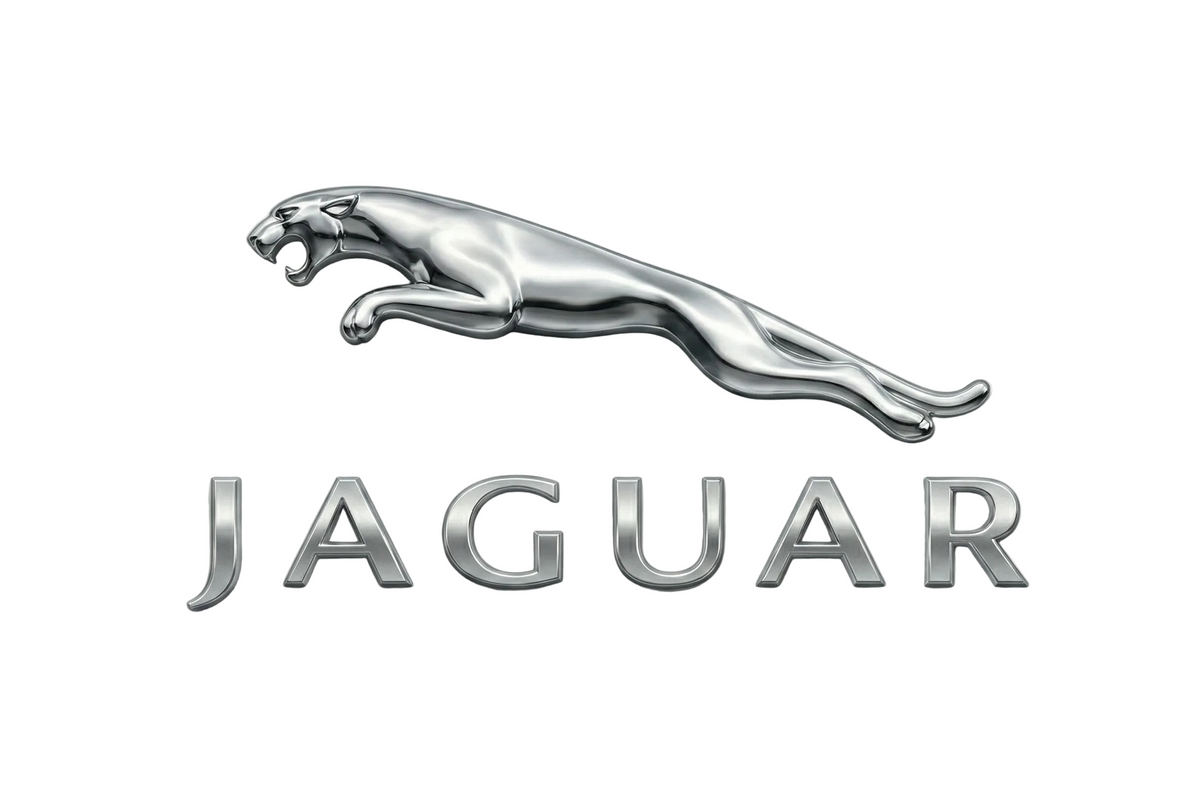 JAGUAR High Performance Air Struts
