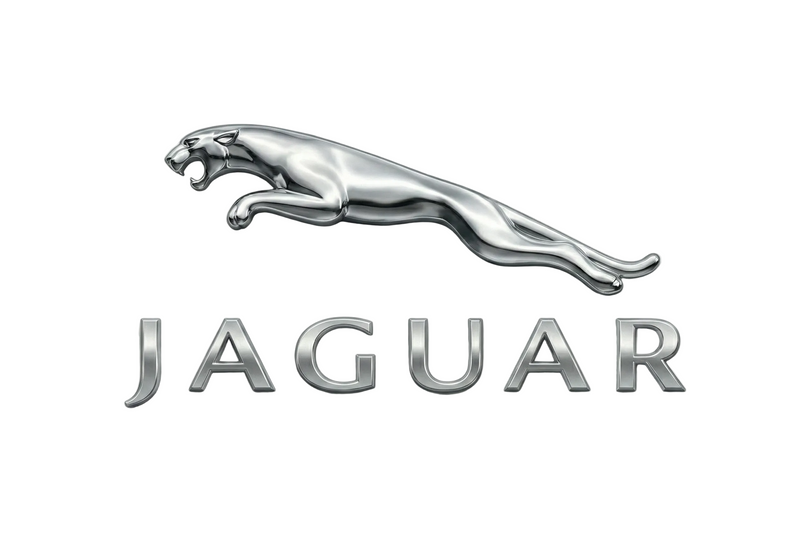 JAGUAR High Performance Air Struts