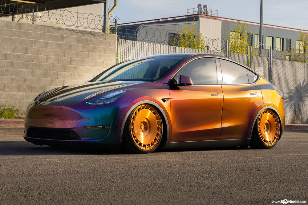 TESLA High Performance Air Struts